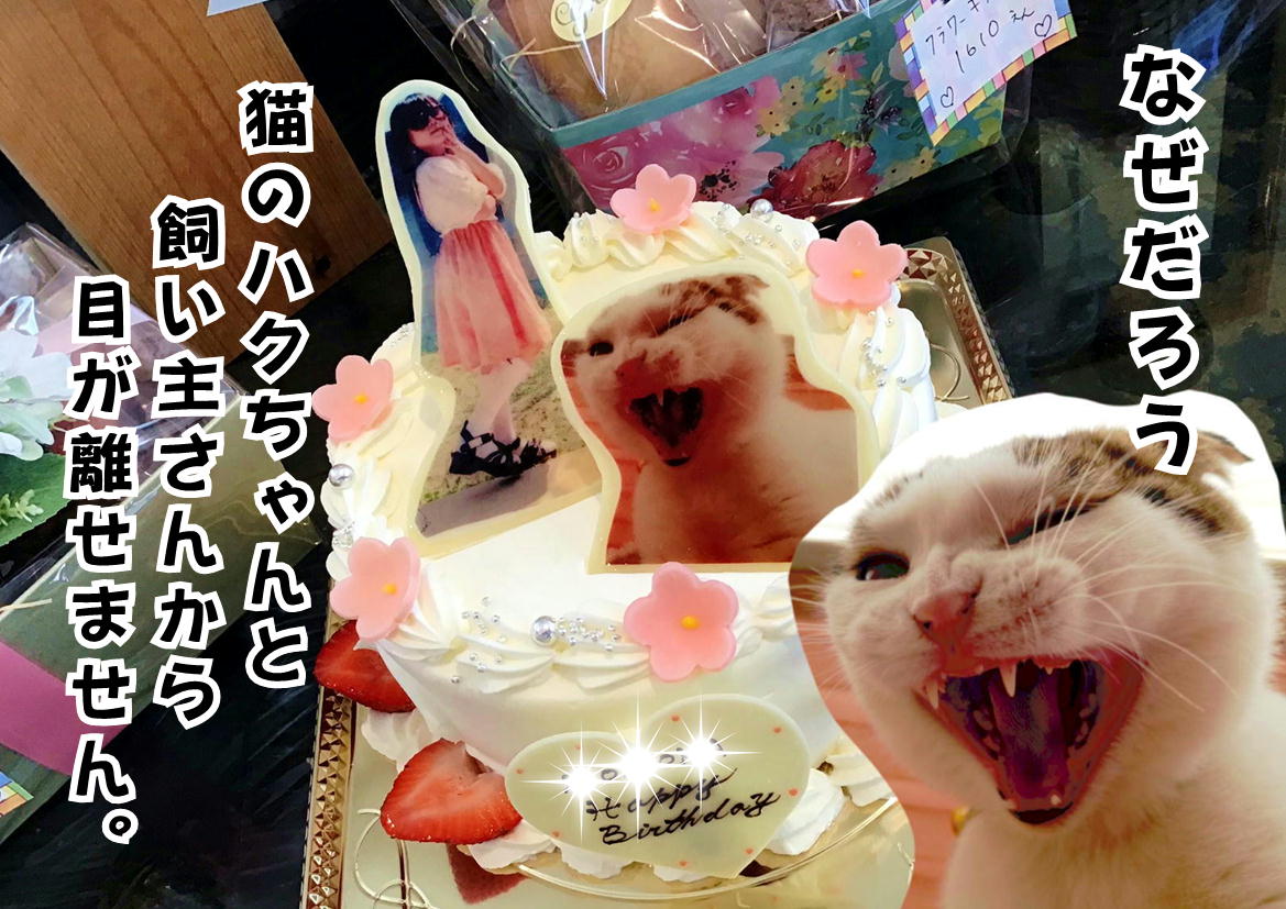 香川県ケーキ　高松市ケーキ　パティスリーグレースケーキ　プリントケーキ　写真ケーキ　ネコケーキ　バースデーケーキ　ブランジスタケーキ