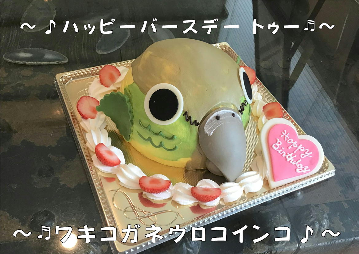 香川県　高松市　パティスリーグレース　バースデーケーキ　お誕生ケーキ　オーダーケーキ　3Dケーキ　小鳥ケーキ　ウロコインコ　ワキコガネウロコインコケーキ　旅色ケーキ