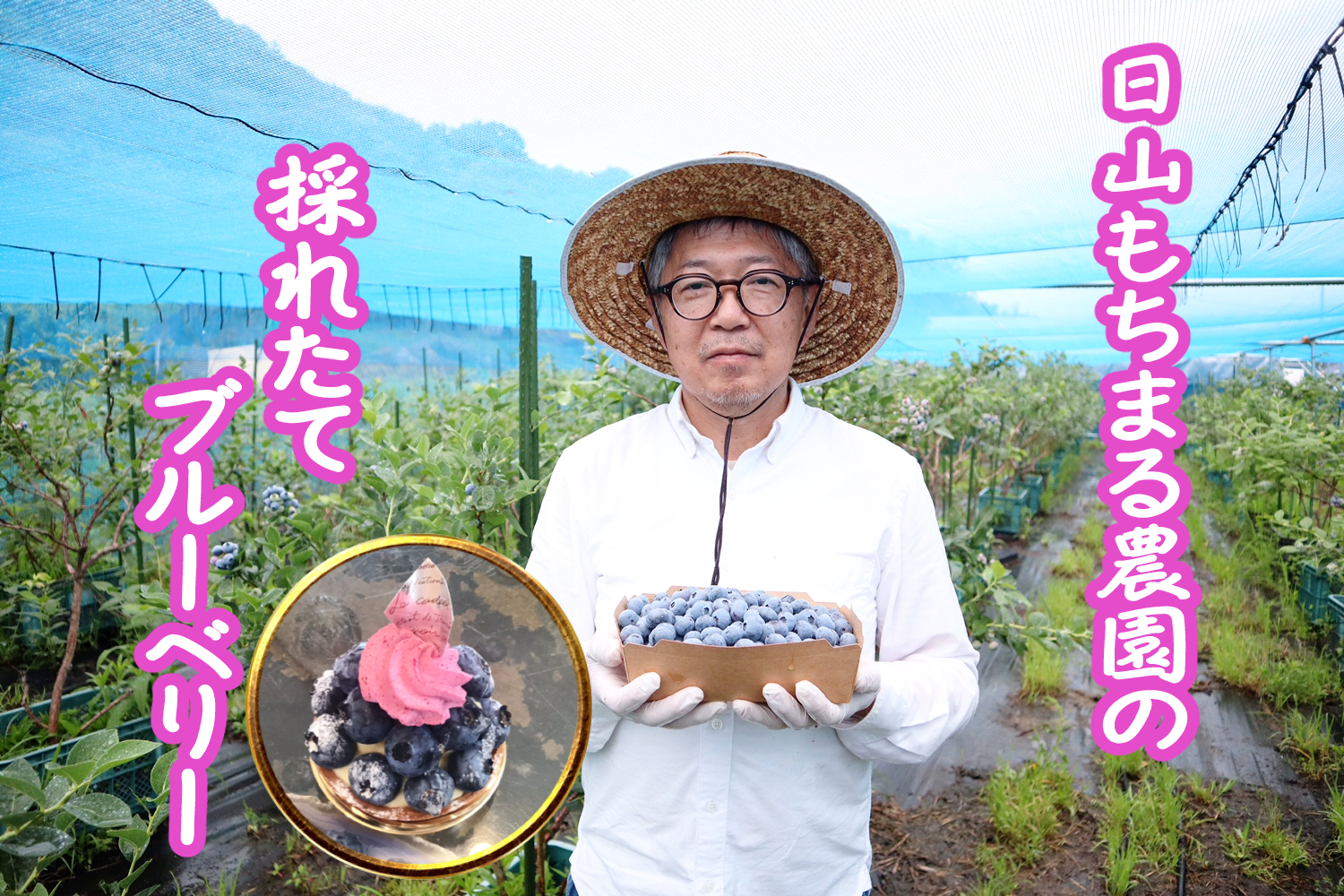 香川県高松市パティスリーグレース 三谷町日山もちまる農園 とれたてブルーベリータルト